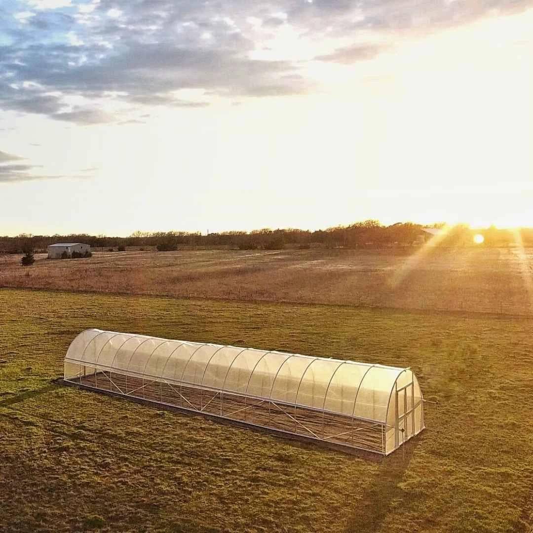 Heavy duty metal hoop house greenhouse on open farmland at sunrise